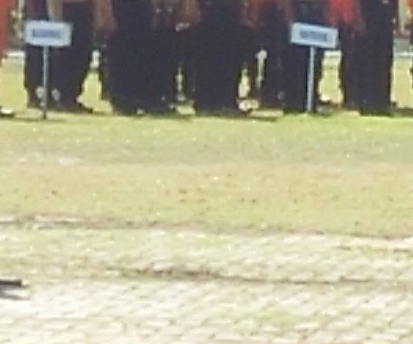 Satpol PP, Satlinmas dan Damkar Harus Proaktif Cermati Stabilitas Keamanan Jelang Pilkada