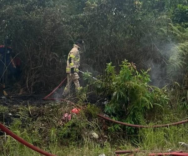 Satpol PP Provinsi Babel Berhasil Padamkan Dua Titik Kebakaran Hutan