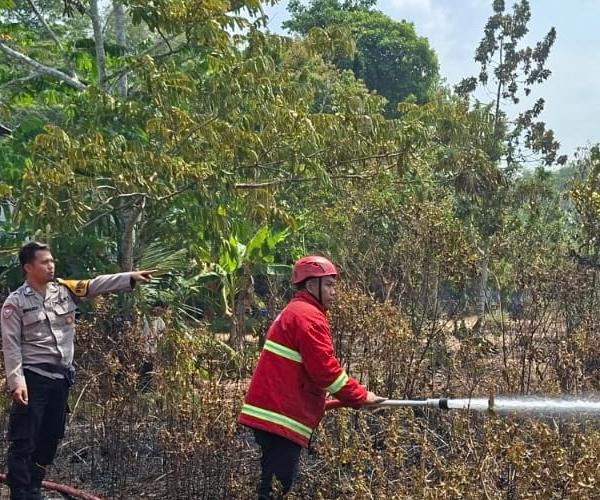 Perkuat Penanganan Karhutla, Emergency Response Team PT TIMAH Sudah 97 Kali Turun Padamkan Api